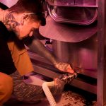 Fast and Reliable Furnace Repairs in Elora for Peaceful Winters