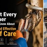 What Every Farmer Should Know About Safe and Effective Hoof Care