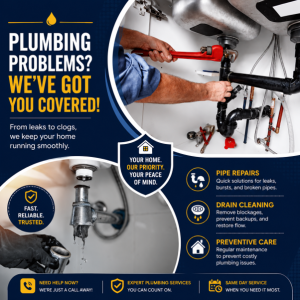 professional plumbers